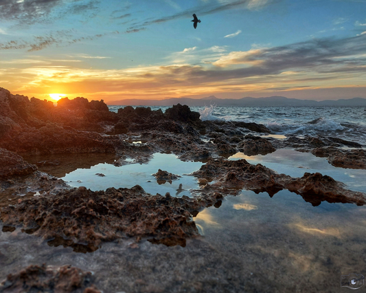 Amanecer Dorado en la Costa Rocosa