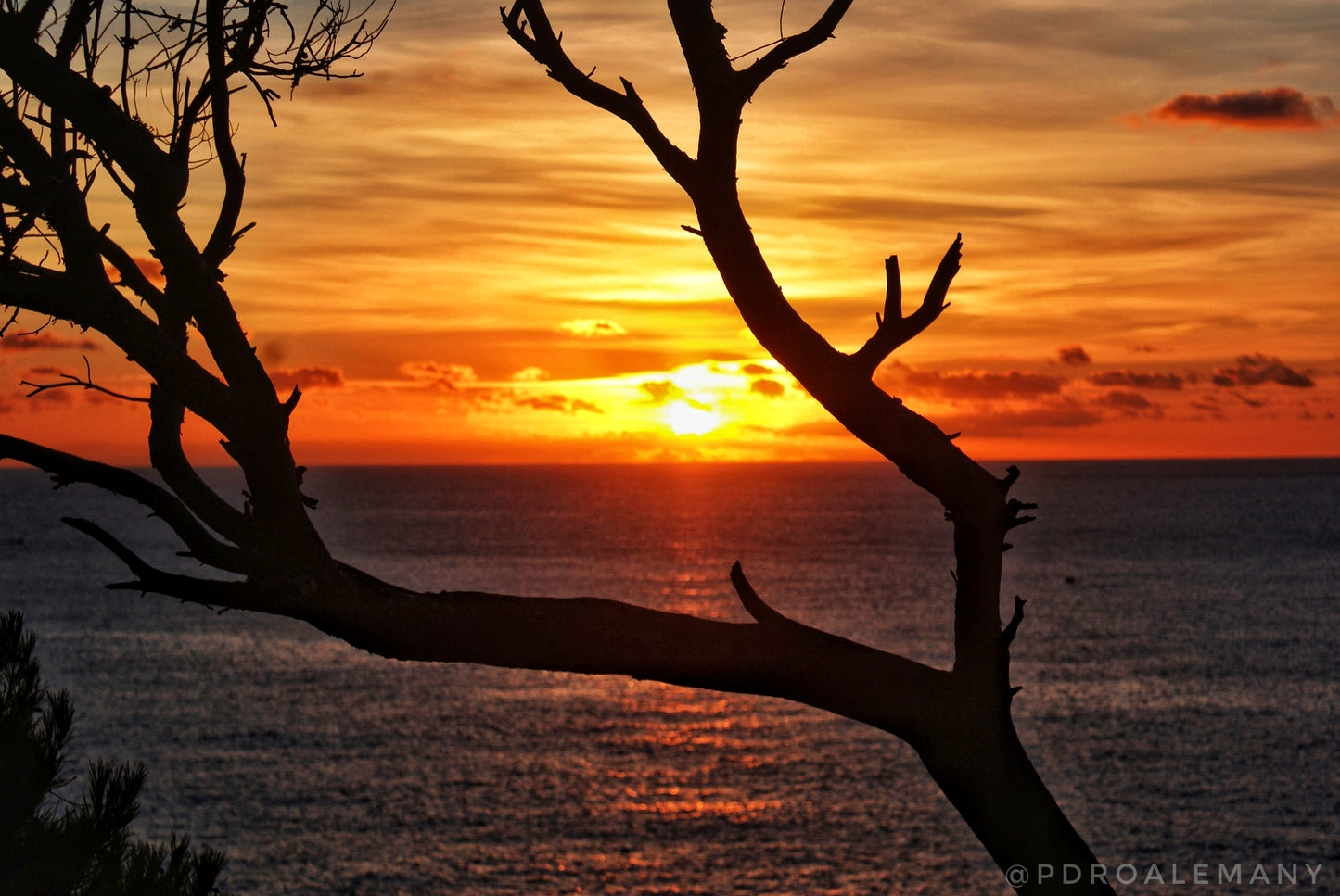 Crepúsculo Marino